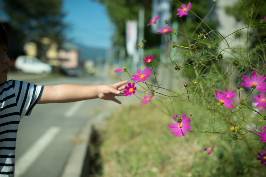 秋の日の散歩