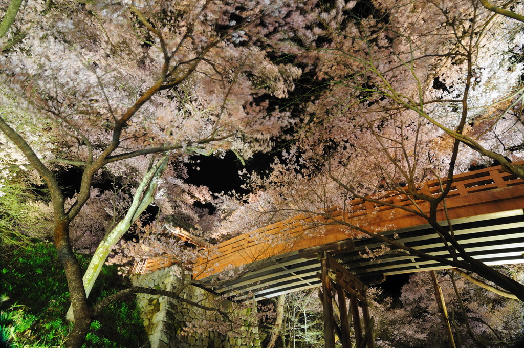 桜雲橋