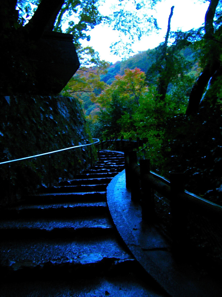 雨上がり