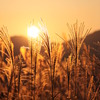 曽爾の夕日