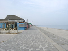 SANY0079