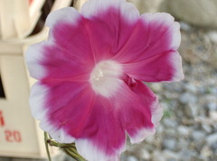 SANY0125