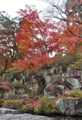 少林山達磨寺