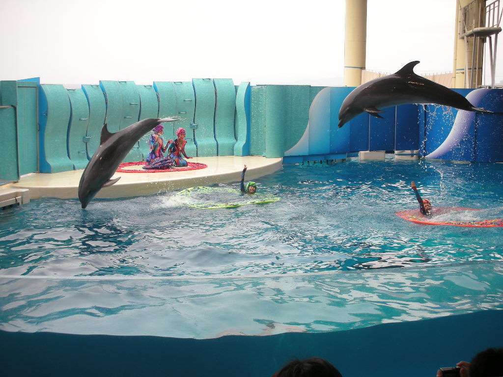 新江の島水族館