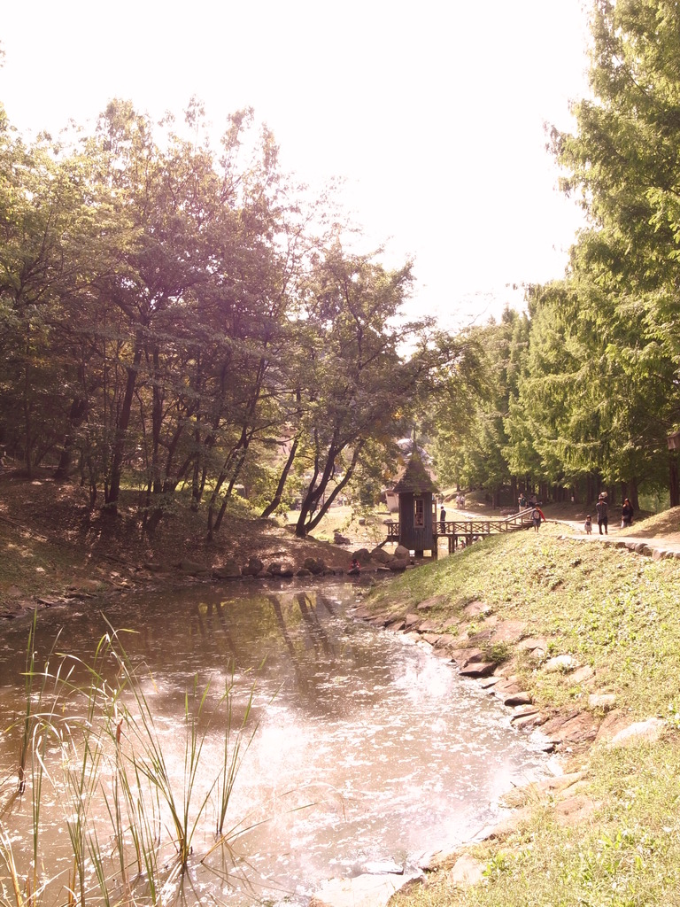 あけぼの子どもの森公園