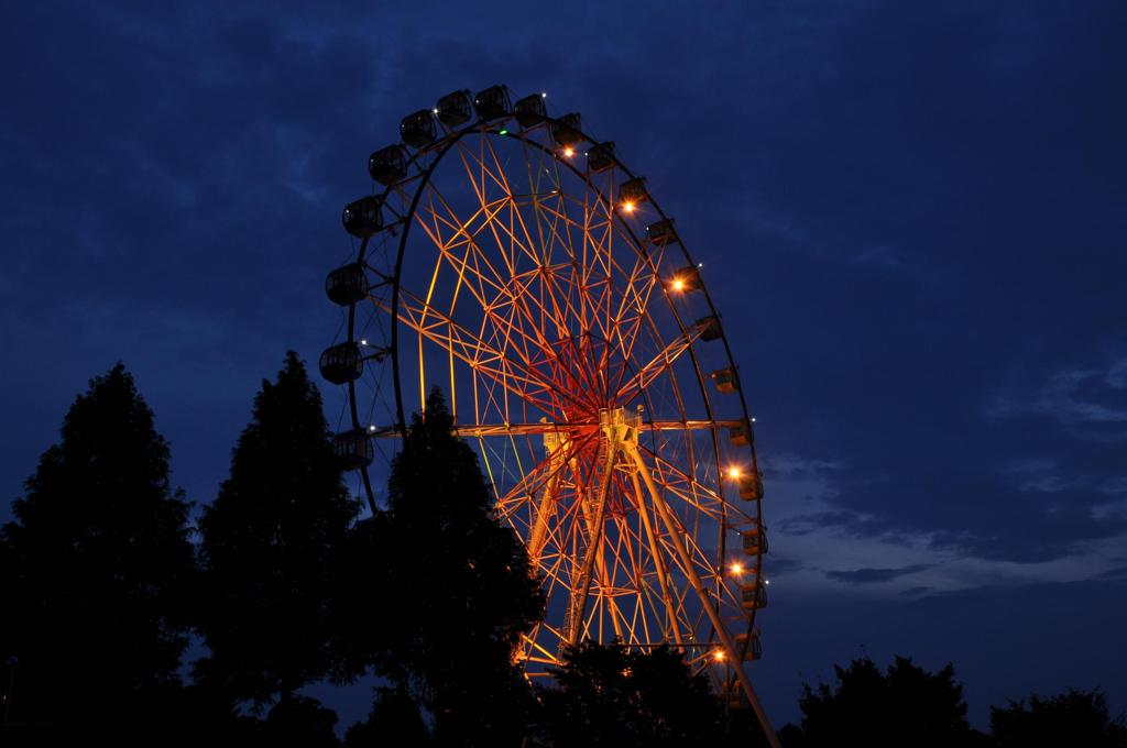夜の観覧車