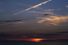 夏の終わりのニオイ