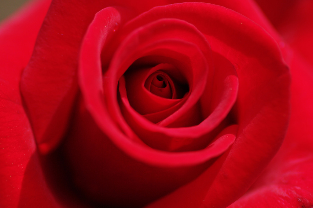 Deep Red
