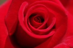 Deep Red