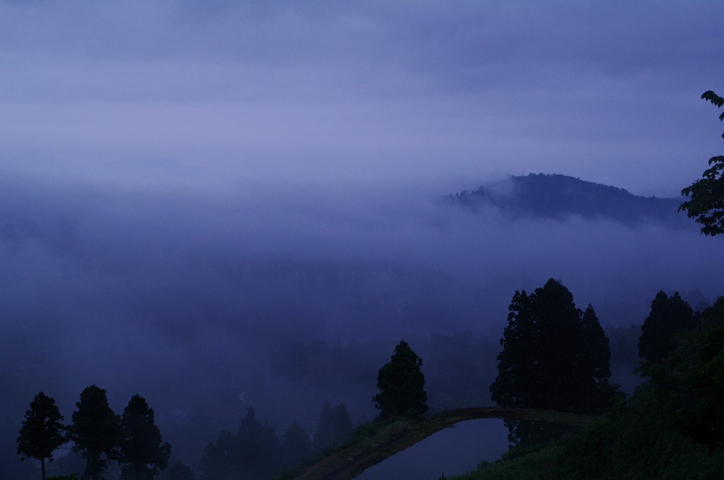 Morning mist