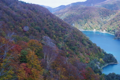  Red leaves of autumn