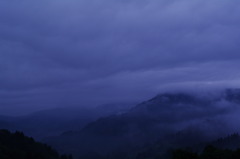 Morning mist