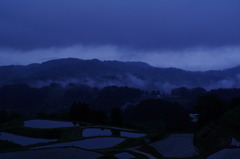 Morning mist