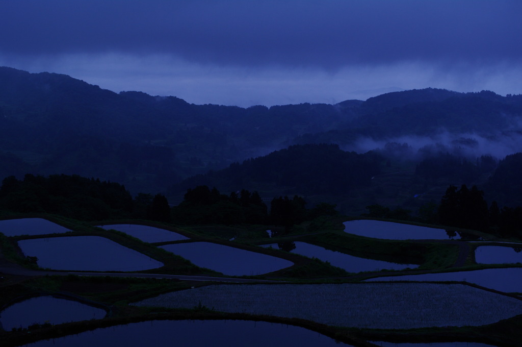 Morning mist