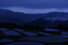 Morning mist