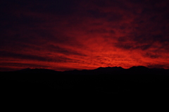 Good Morning! Mr.Fear