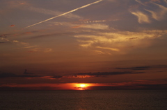 夏の終わりのニオイ