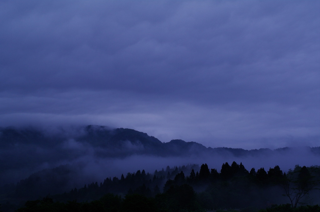 Morning mist