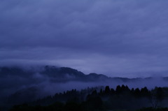 Morning mist