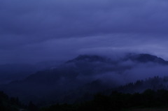 Morning mist