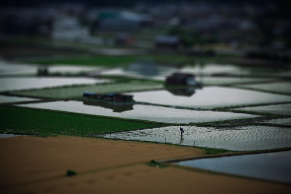 田園風景