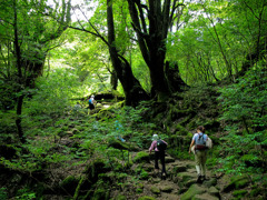 屋久島登山