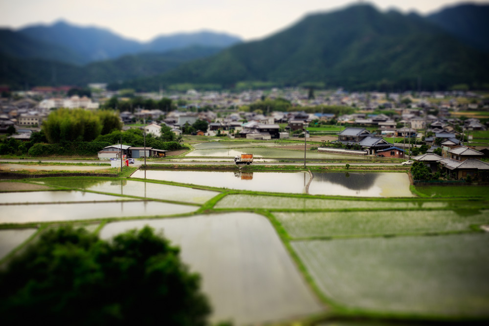 田園風景