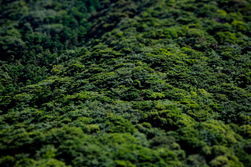 山肌