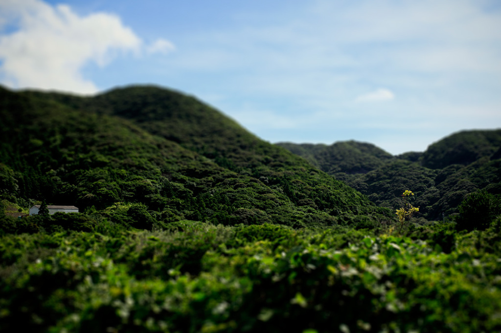 ジオラマ屋久島