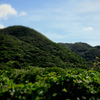 ジオラマ屋久島
