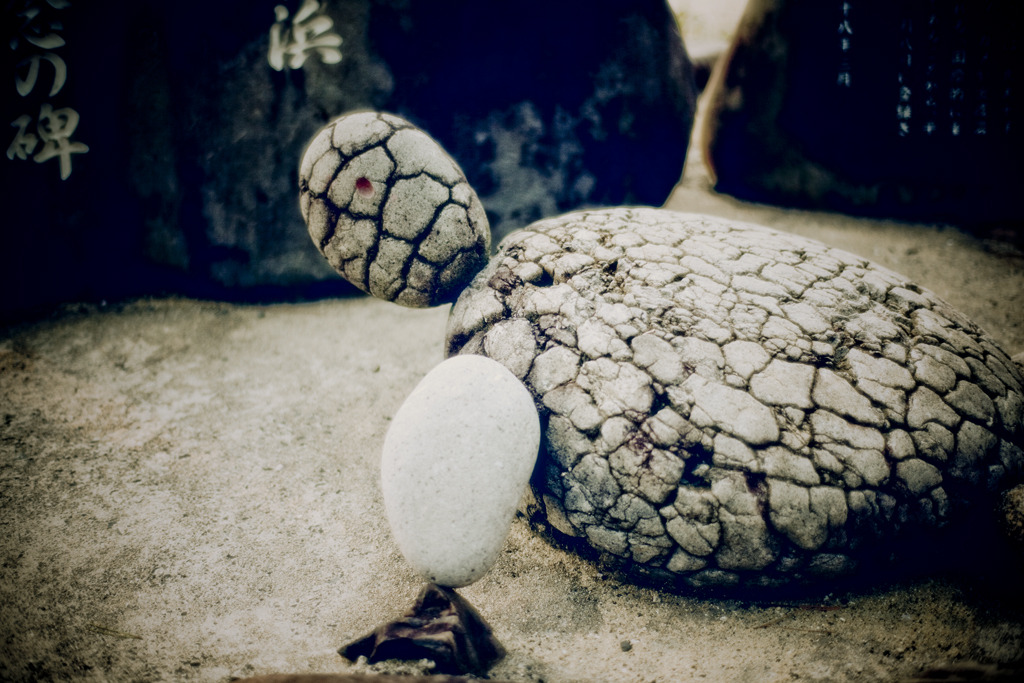 カメ