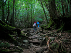 屋久島登山