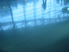 blue 5 canada 