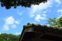 久しぶりの青空