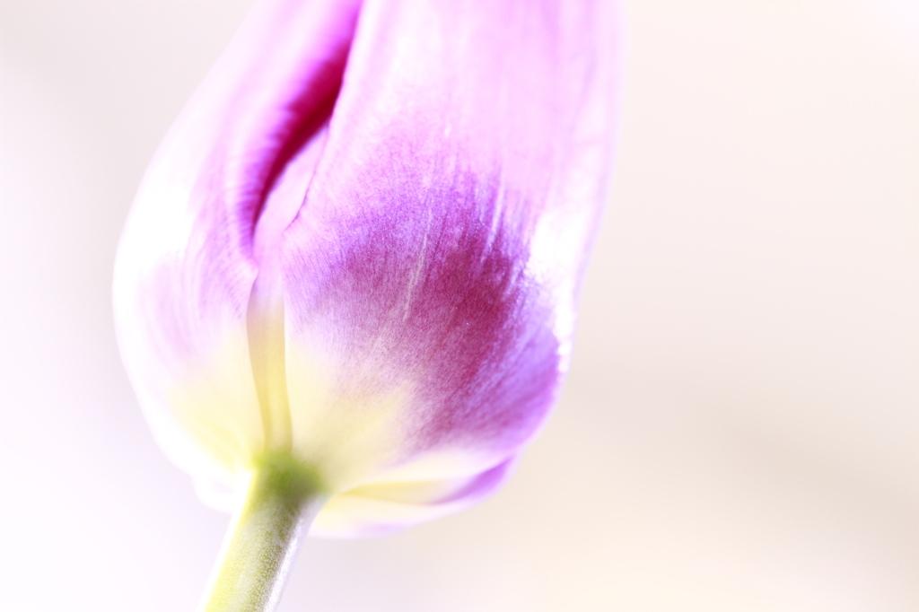 見上げてみると