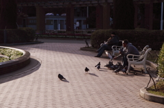 う、うらやましくなんかないワン