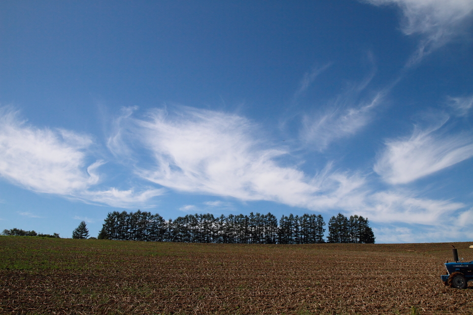 刈り入れも終わり