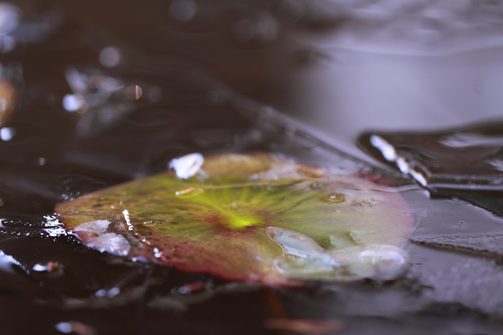 寒かった。。。