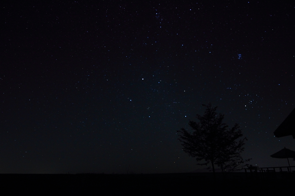 星の見える丘