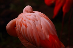 どこ見てるの？