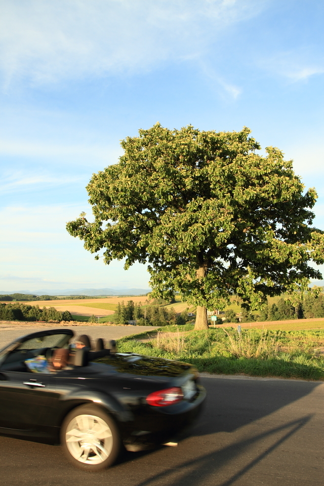 セブンスターとロードスター