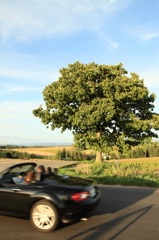 セブンスターとロードスター