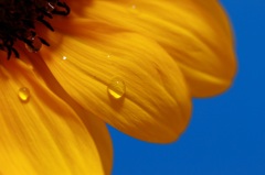 納涼（アップ）