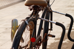 今日もボードを乗せて