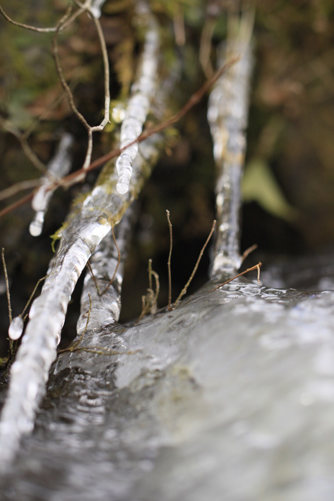 氷