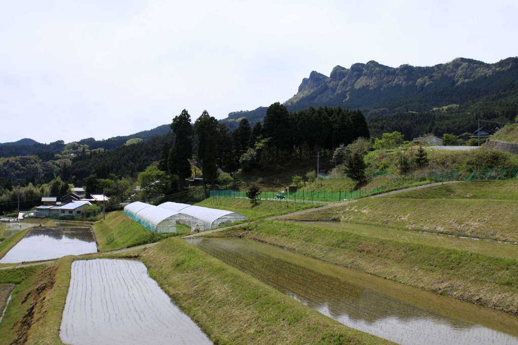 田園風景