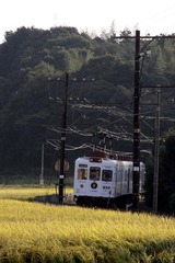 いちご電車と稲穂