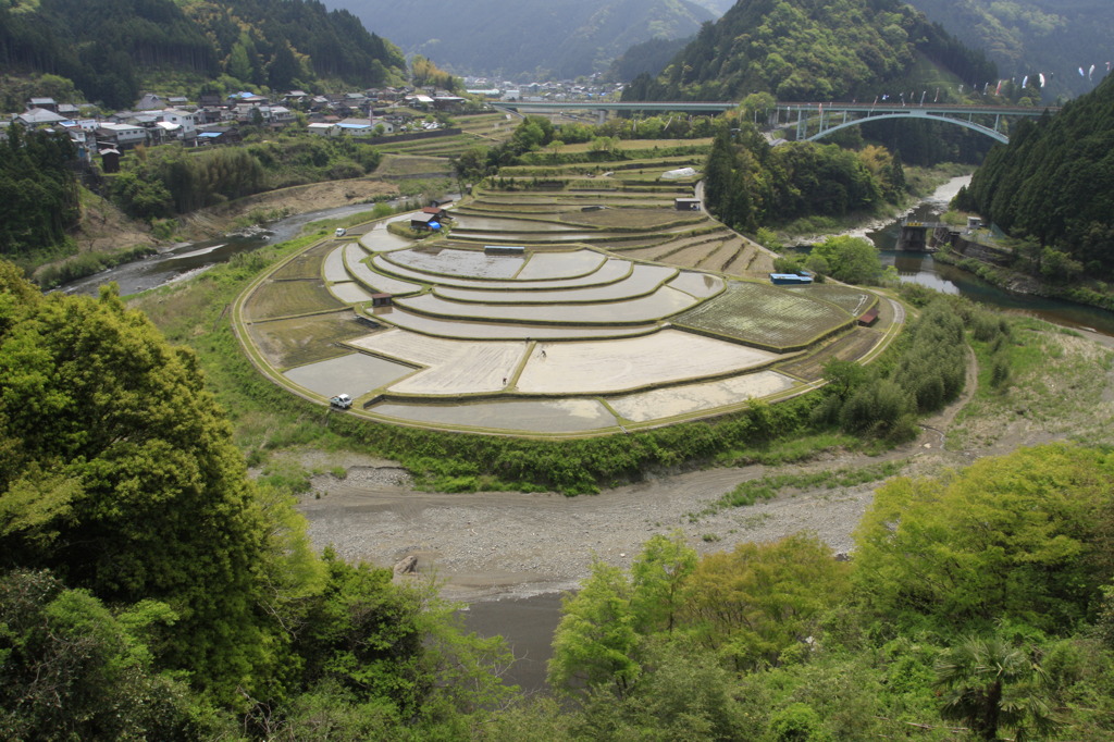 あらぎ島