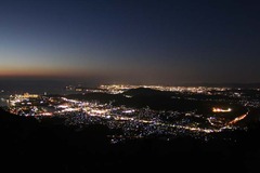 雨の森から