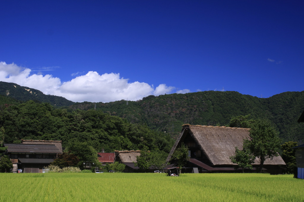 夏休み